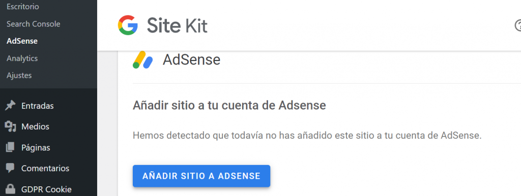 Connect a WordPress website with AdSense to display automatic ads.